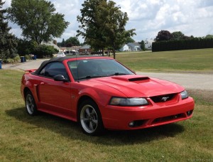 mustang4
