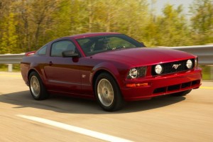 mustang5